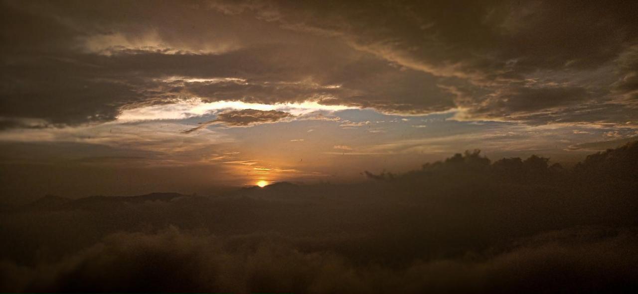 The Dew Drop Kurseong
